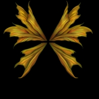 goldwings.jpg